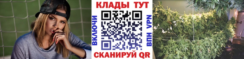 Купить наркоту Медвежьегорск АМФ Меф Альфа ПВП ГАШ KRAKEN вход Конопля