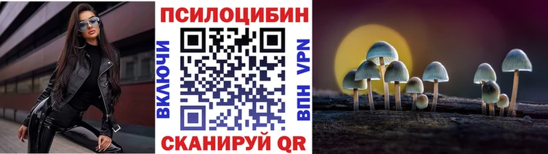 Галлюциногенные грибы мухоморы  где купить наркотик  mega маркетплейс  Медвежьегорск 